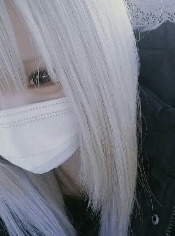 電脳灰かぶり姫